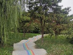 -太阳宫公园