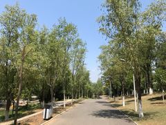 -青龙湖公园