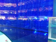 -成都浩海立方海洋公园