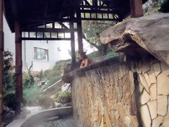 -顺景温泉