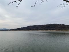 -羊山湖公园