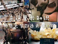 -中国地质大学逸夫博物馆