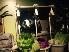 -卡朋厨房(289艺术园区店)