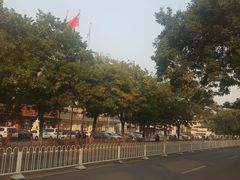 -糖葫芦王保定名吃(古莲花池店)