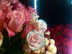 -Flower in(密渡桥店)