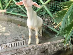 -杭州野生动物世界