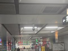 -宋家庄(地铁站)
