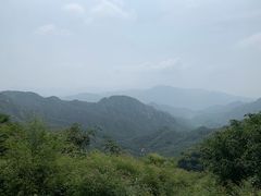 -大岭沟猕猴桃谷风景区