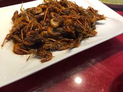 特色油爆河虾-三林本帮馆(中林街店)