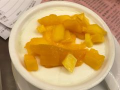 -南信牛奶甜品专家