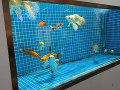 -南沙辉记烧鸡·荔枝木炭火吊烧(旧镇店)