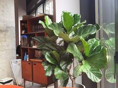 -The Rug Cafe(王府中环店)