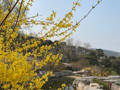 -北京西山国家森林公园