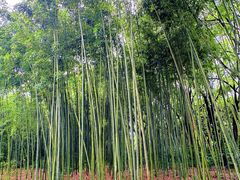 -苏州河梦清园环保主题公园