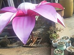 -阿细汉菜(本地盐帮菜名店)