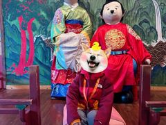 -济州岛泰迪熊博物馆