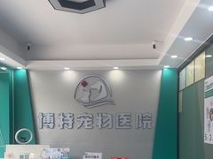 -博特宠物医院24h犬猫全科.骨科·异宠