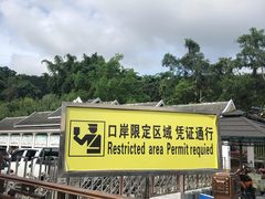 -打洛口岸