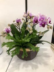 -YESIDO椰岛造型烫发染发