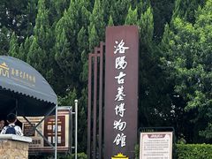 -洛阳古墓博物馆