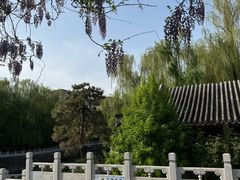 -北京积水潭医院-停车场