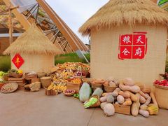 -中国天府农业博览园