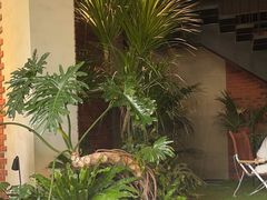 -J Create城市露营咖啡·简餐·宠物(上海动物园店)