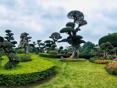 -南宁南湖公园