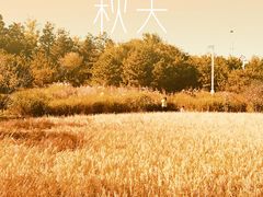-北坞公园