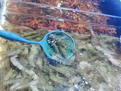 -聚盛源蒸汽海鲜火锅烤肉自助(巨川金海岸购物广场店)