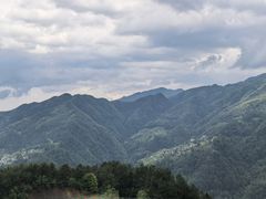 -紫鹊界梯田景区