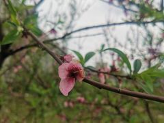-沐仙湖湿地公园