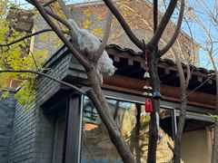 -VOYAGE COFFEE(杨梅竹店)