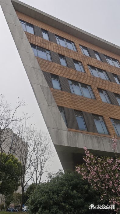 同济大学(嘉定校区)图片