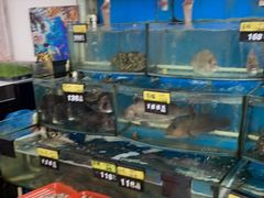 水产区-渔中舟海鲜大排档(普陀沈家门店)