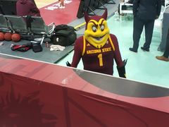 场馆-苏州高新区文体中心体育馆