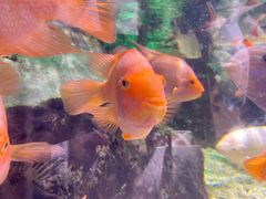 -太平洋海底世界