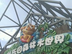 -苏州乐园森林水世界