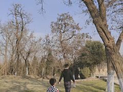 -汉长安城未央宫国家考古遗址公园