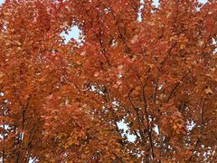 -水秀国际大剧院