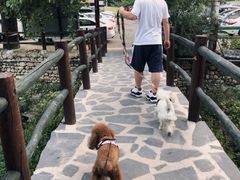 -北京水岸山吧度假村(雁栖镇店)