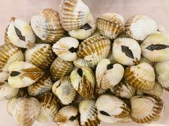 -华盛丰温州大排档(东三环南路店)