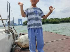 -金鸡湖桃花岛