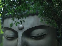 -杭州植物园