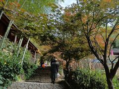 -宁波浙东大竹海景区