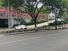 -老幺泉水鸡