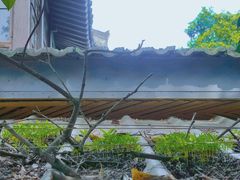 -颐和路民国时期公馆风貌区