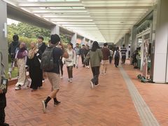 -香港大学