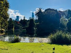 -墨尔本皇家植物园