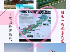 -御道口草原森林风景区